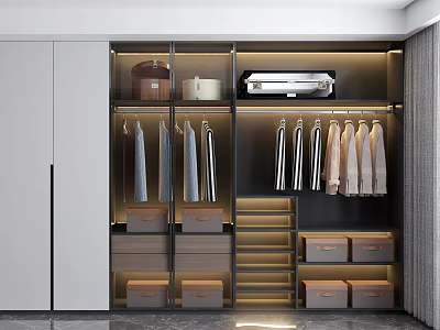 Modern Wardrobe Interior With Clothing Racks Drawers Storage Boxes And Lighting 3d model