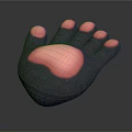 Detailed Animal Paw With Five Pink Toe Pads And Dark Textured Surface