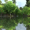 Vibrant Garden Landscape With Lush Green Trees Fruits And Clear Water Reflection