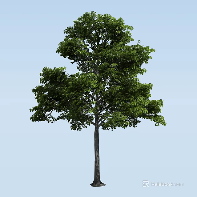 Tall Arbor with Lush Green Foliage and Strong Trunk Against Blue Sky 3d model 