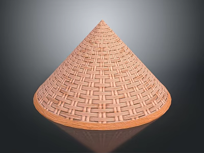 Eco Friendly Traditional Handmade Bamboo Woven Conical Cover for Daily Household Use 3d model