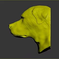 Rottweiler Head Sculpture With Black And Tan Coat On Gray Background