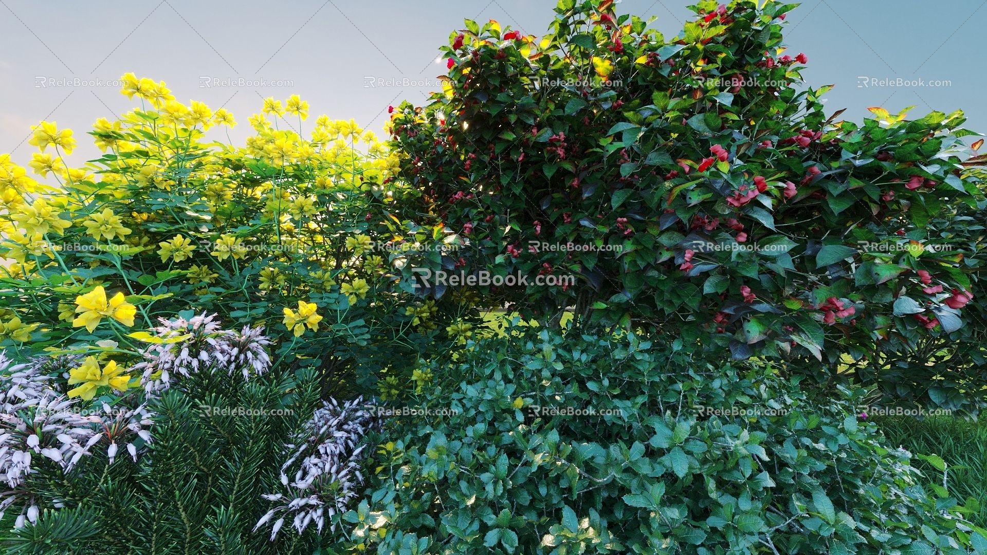 Flowers and plants combination landscape shrubs shrubs plant combination natural landscape flowers 3d model