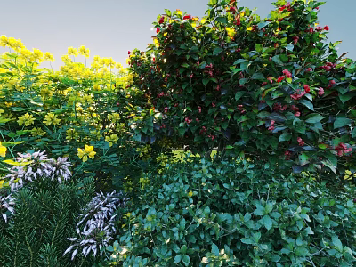 Lush Flowering Shrubs With Red Yellow Blooms And Green Foliage In Garden 3d model