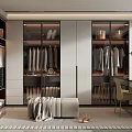 Modern Walk in Closet Interior Design With Glass Doors Cabinets Hanging Clothes Bench And Rug