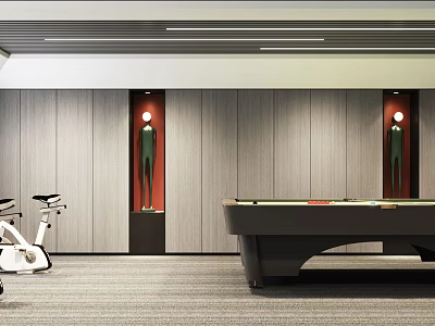 Billiard Room With Wooden Walls Red Decorative Niches White Exercise Bike And Ceiling Lights 3d model