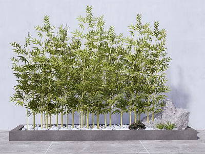 Lush Green Bamboo Plants in Decorative Planter with Stones and Small Plants 3d model