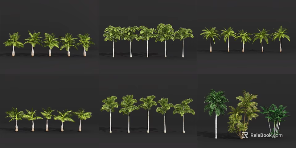 Various Tropical Trees with Lush Green Foliage for Garden Landscaping Projects 3d model 