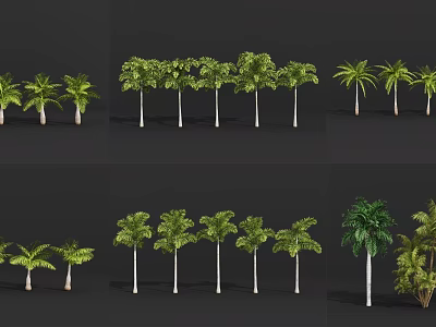 Various Tropical Trees with Lush Green Foliage for Garden Landscaping Projects 3d model