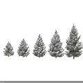 Multiple Snow Covered Trees In Different Sizes With Human Silhouette For Scale 3d model