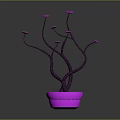 Purple Stemmed Potted Plant with Pink Flowers and Pink Pot on Dark Background
