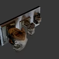 Three Ancient Skull Specimens of Various Sizes Displayed on Exhibition Platform