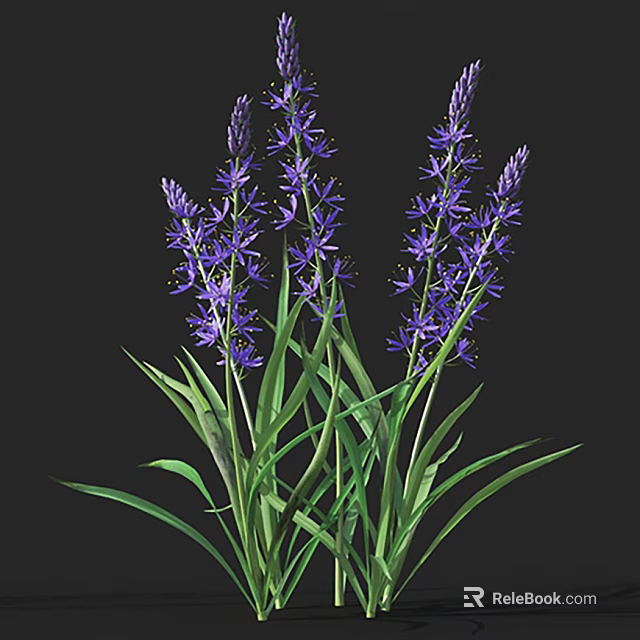 Beautiful Purple Flowers With Tall Stems And Green Leaves On Black Background 3d model 