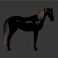 Black Horse With Pink Mane Standing Gracefully On Gray Background 3d model
