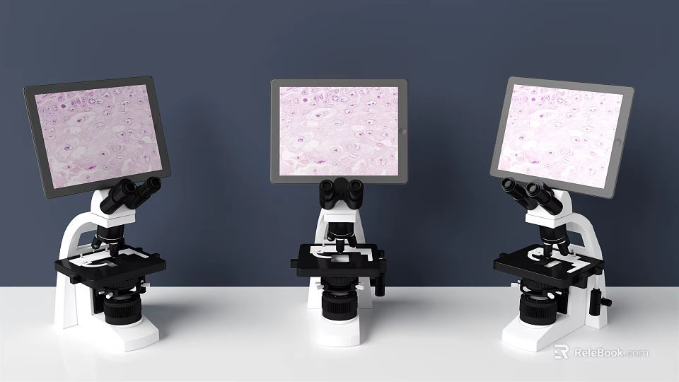 Medical Equipment Microscopes With Screens Displaying Cell Samples In Laboratory Research 3d model 