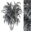 green palm tree 3d model