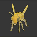 3D Rendered Yellow And Black Bee Model With Detailed Wings On Dark Background
