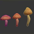 Three Orange Mushrooms with White Stems on Dark Background and Reflections