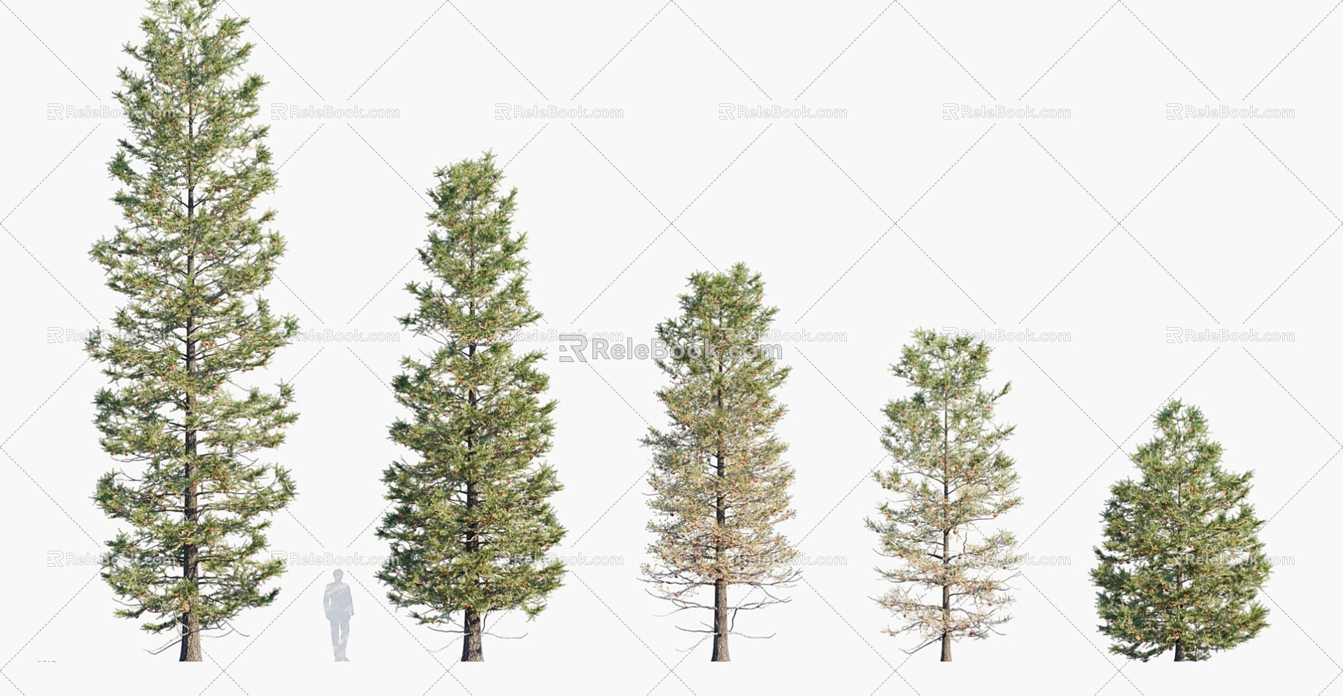 trees big trees pine trees landscape trees 3d model