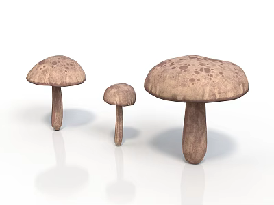 Three Mushroom Plants with Brown Spotted Caps and Stems in Various Sizes on White Background 3d model