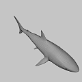 Realistic Great White Shark 3D Model With Lifelike Swimming Pose