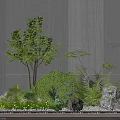 Courtyard Garden Design With Gray Concrete Walls Small Tree Ferns Shrubs Stones And Pebbles