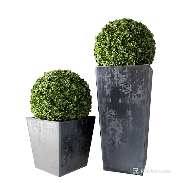 Green Boxwood Ball Topiaries In Square Concrete Planters For Garden Decor 3d model 