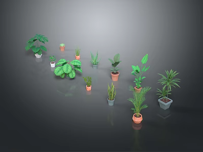 Variety of Potted Indoor Plants with Different Leaf Shapes and Decorative Pots 3d model