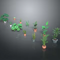 Variety of Potted Indoor Plants with Different Leaf Shapes and Decorative Pots