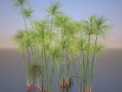 Modern saye grass model