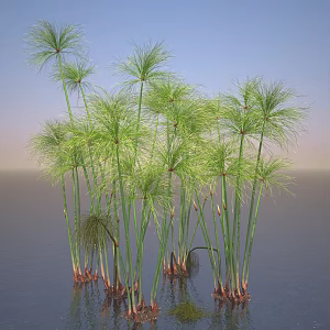 Modern saye grass 3d model