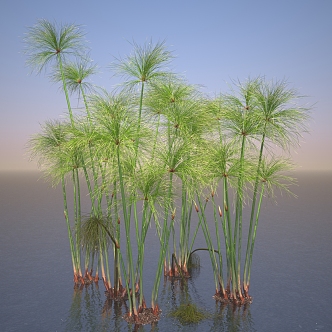 Modern saye grass 3d model