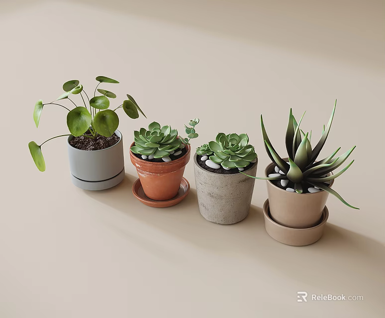 Various Potted Succulents And Leafy Plants In Different Colored Ceramic Pots On Light Beige Background 3d model 