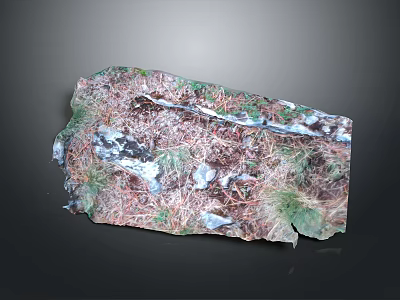 Varied Colorful Textured Terrain Surface With Rock Soil And Vegetation Patches 3d model