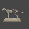 Detailed Animal Skeleton Display Featuring Anatomical Structure On Marble Base 3d model