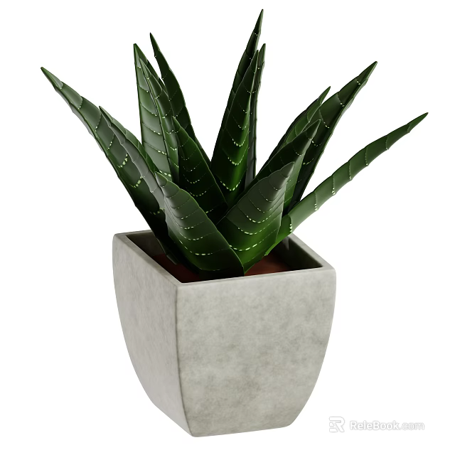Indoor Decorative Aloe Vera Plant With Green Leaves And White Stripes In Square Gray Pot 3d model 