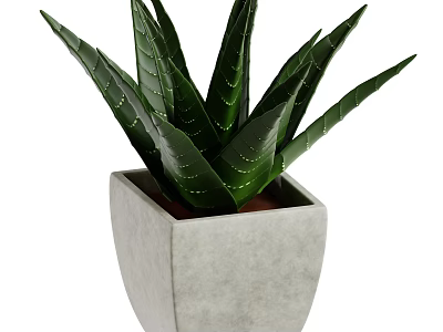 Indoor Decorative Aloe Vera Plant With Green Leaves And White Stripes In Square Gray Pot 3d model