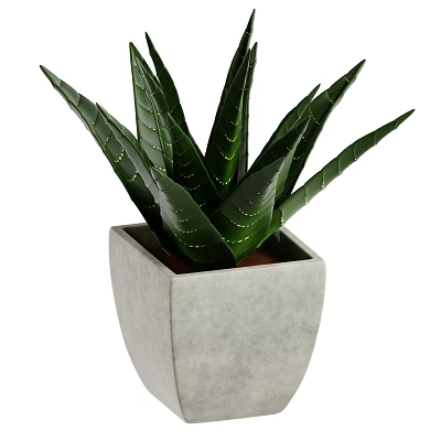 Indoor Decorative Aloe Vera Plant With Green Leaves And White Stripes In Square Gray Pot 3d model