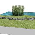 Tall Green Grasses In Central Pond With Stone Path And Scenic Grassland View