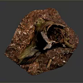 Natural Tree Stump Plant Decoration with Exposed Roots and Textured Surface for Indoor