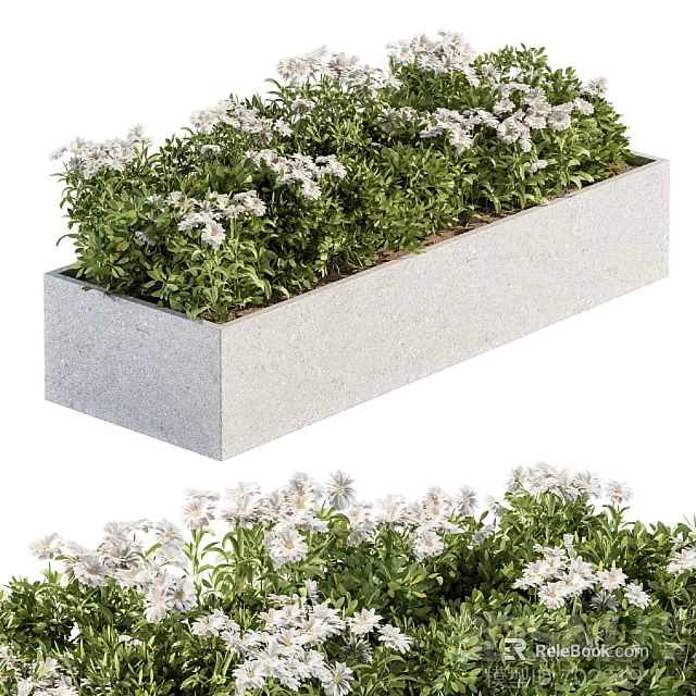 Potted Bonsai Plant in Stone Rectangular Planter with Green Foliage and White Flowers 3d model 