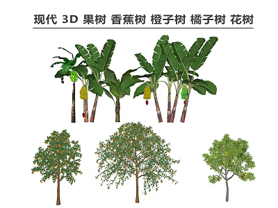 Modern 3D Fruit Trees Including Banana Orange Tangerine And Flowering Varieties 3d model