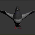 Detailed Pigeon With Spread Wings Gray And Purple Feathers Red Feet And Yellow Eyes