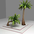 Two Palm Trees With Tall Straight And Short Curved Trunks Green Fronds On White Platform
