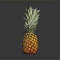 Fresh Ripe Pineapple With Yellow Shiny Skin And Green Leaves On Dark Background