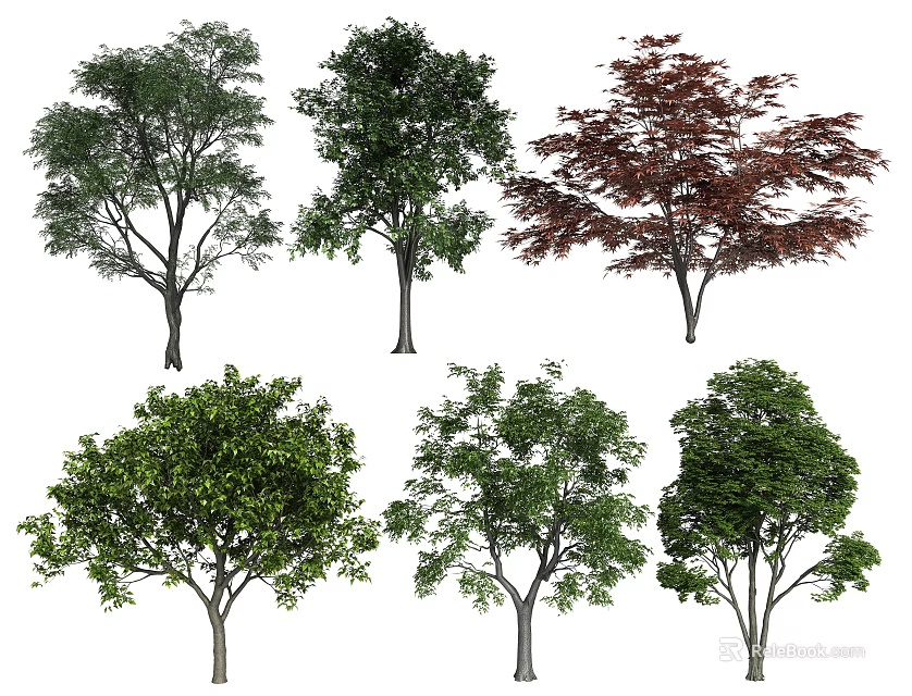 Diverse Arbor Trees With Green Red Foliage And Various Crown Shapes 3d model 