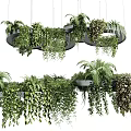 Hanging Basket Plants With Circular Spiral Design Featuring Lush Tropical Greenery And Palm Leaves