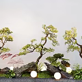 Landscape Tree Pine Tree Landscape Stone Micro Terrain Landscape Tree 3d model