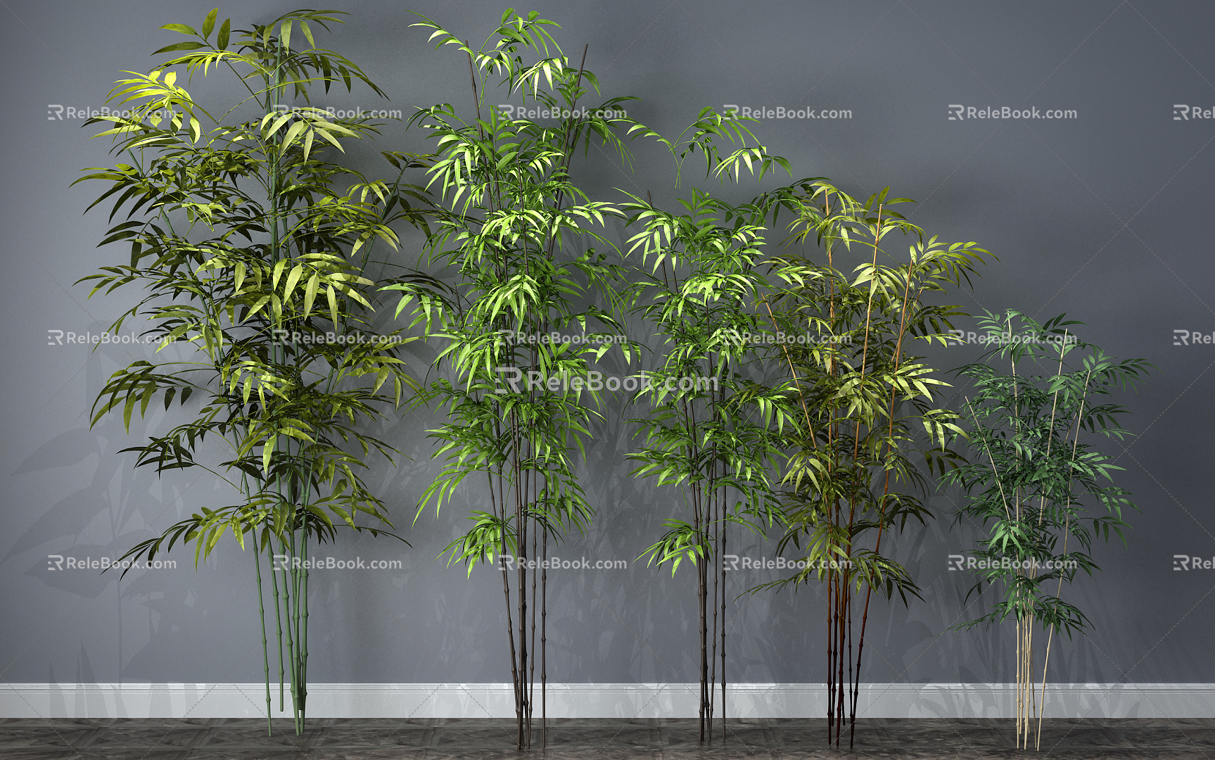 Modern Bamboo Plants 3d model