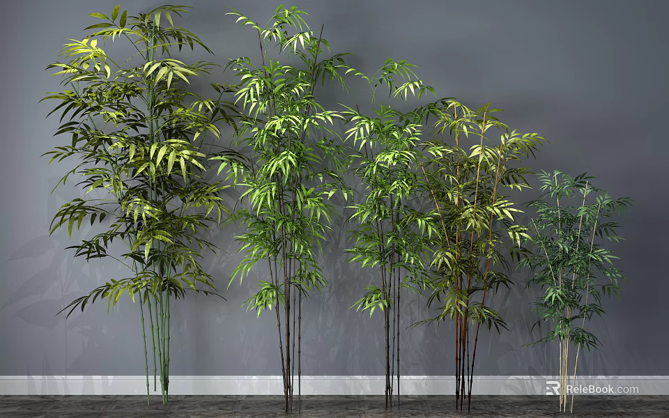 Bamboo Plants of Various Heights and Colors Against Gray Wall and Wooden Floor 3d model 